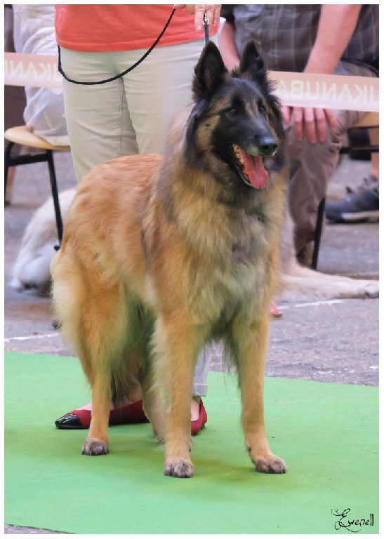 De La Chapardière - CHAMPIONNAT DE FRANCE 2015